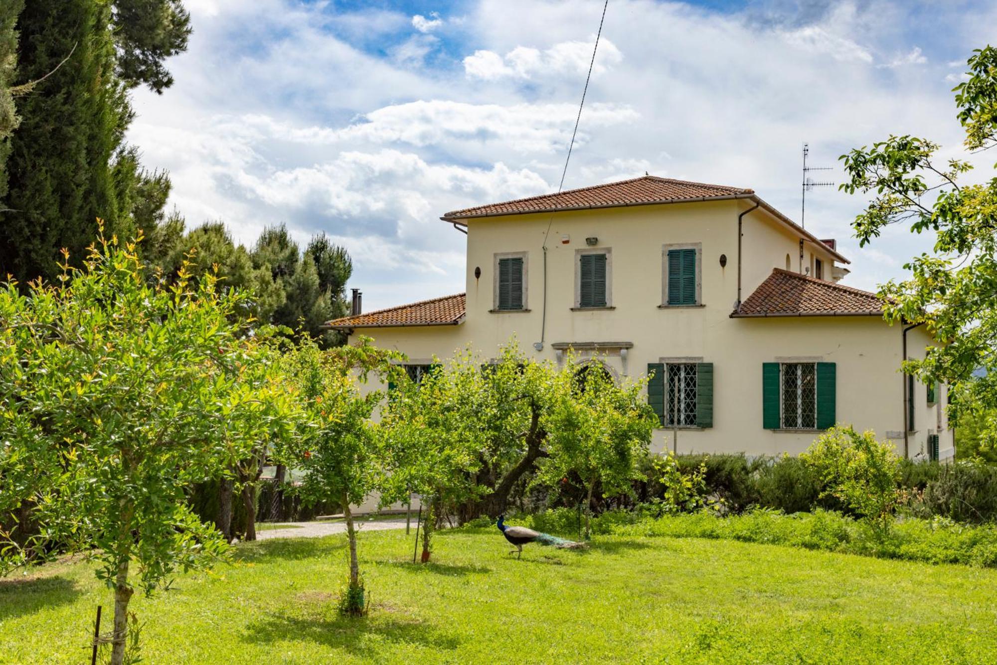 Colli del Tronto B&B In An 1800S Frescoed Villa With Panoramic Solarium And Historic Park - Villa Mastrangelo المظهر الخارجي الصورة