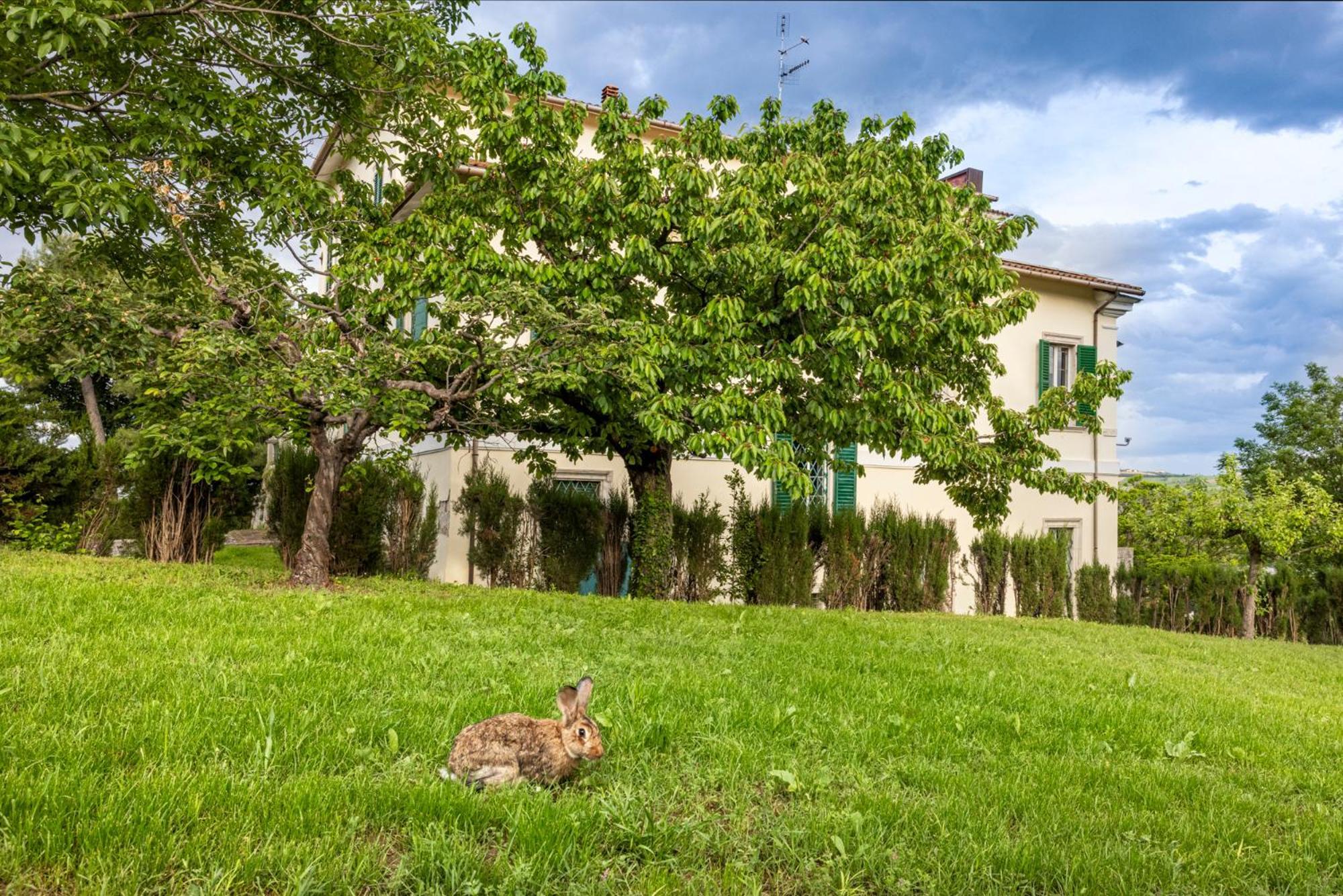 Colli del Tronto B&B In An 1800S Frescoed Villa With Panoramic Solarium And Historic Park - Villa Mastrangelo المظهر الخارجي الصورة